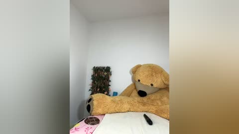 Media: Video of a large, light brown teddy bear in a corner of a white-walled room with a green plant and a black object on the bed.