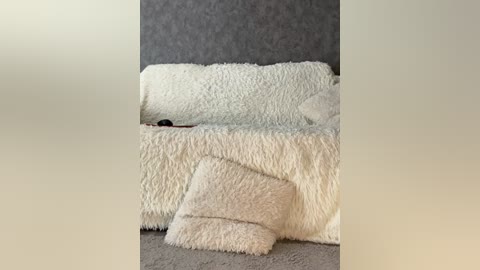 Media: Video of a plush, white, rectangular rug and matching throw blanket on a gray carpet, with a gray wall in the background.