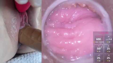 Media: Video of a close-up view of a pink vaginal canal, with a beige dildo partially inserted, and a red vibrator in the background. The image also includes a chart with numerical values, possibly related to sexual health.