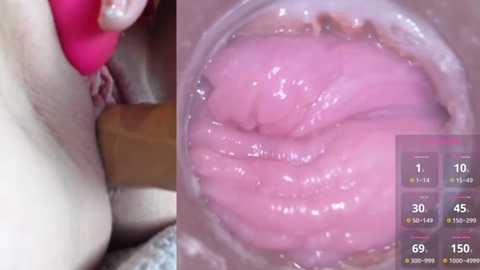 Media: Video of a close-up of a vagina being penetrated with a pink vibrator, showing wet, pink folds; inset: statistics panel with details about the penetration.