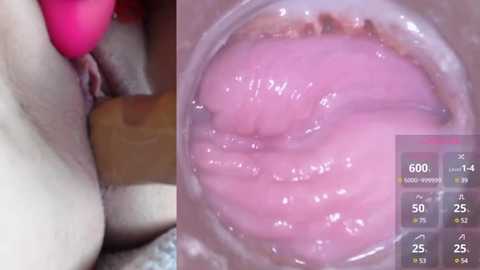 Media: Video showing a close-up of a pink, moist, and glossy vaginal opening, with a pink vibrator partially inserted. The image also includes a graphic displaying a thermometer reading of 60.1\u00b0C.