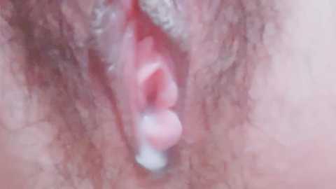 Media: A close-up video of a vulva with pink inner labia and visible vaginal opening, surrounded by pubic hair, in a natural, unaltered state.