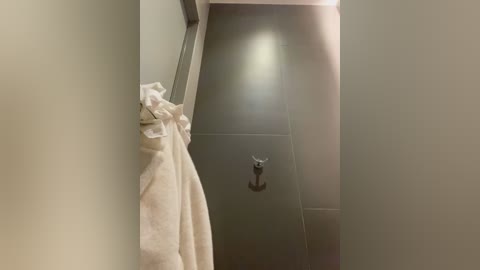 Media: A video of a minimalist bathroom with a beige towel hanging on a silver hook, set against dark gray tiles and a white wall. The room is brightly lit with soft, diffused lighting.