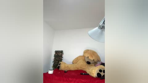 Media: A video of a cozy corner in a room featuring a large, plush, light-brown teddy bear on a red quilted bed, a potted plant with green leaves, and a white ceiling lamp. The background is plain white walls.