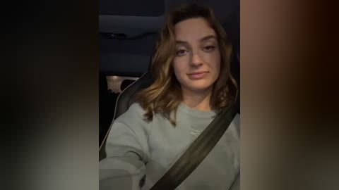 Media: A video of a woman with wavy, light brown hair, wearing a light grey sweater, seated in a car, with a seatbelt across her chest.