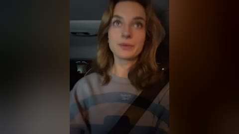 Media: Video of a woman with shoulder-length wavy brown hair, wearing a striped gray and blue sweater, seated in a dimly-lit car, looking towards the camera.