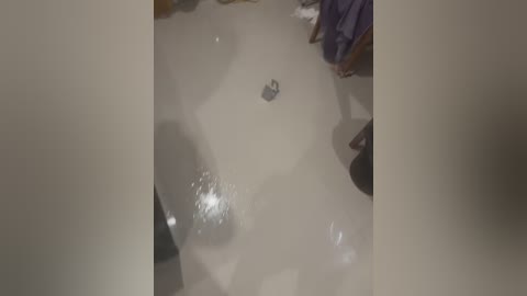 Media: Video of a bathroom floor with a wet patch, a small black object, and a person partially visible in the background. The scene appears dimly lit.