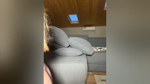 Media: Video of a cozy, dimly-lit living room featuring a grey sectional sofa with multiple cushions, wooden ceiling with a skylight, and a small TV on a stand, reflecting a minimalist and comfortable aesthetic.