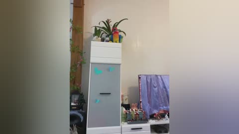 Media: Video of a cluttered, small room with a white fridge, a plant on top, a mirror, and various household items on a table, including a purple towel.