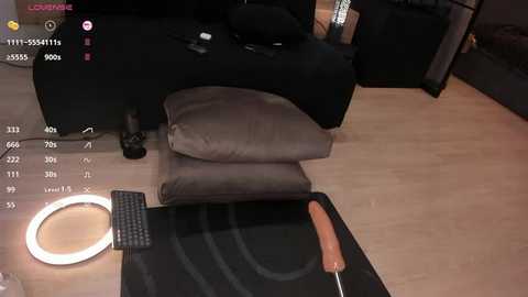 Media: A video of a dimly-lit living room with a black couch, two brown pillows, a keyboard, a light ring, and a realistic-looking rubber dildo on a wooden floor.