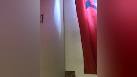 Media: Video of a narrow, dimly lit hallway with a red flag featuring a blue symbol hanging on the right wall. The left wall is painted off-white. The flag's texture is smooth and slightly wrinkled.