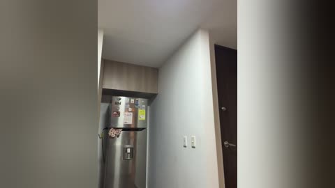 Media: Video of a narrow hallway with a stainless steel fridge, white walls, and a dark wooden door.