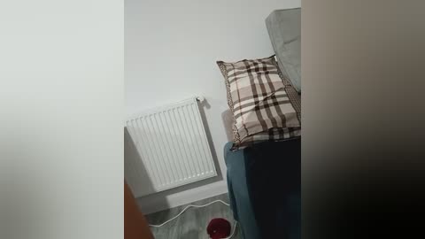 Media: A video of a corner of a bedroom showing a white radiator, a blue bed with a plaid pillow, and a red object on the floor. The room has white walls and a gray carpet.