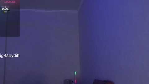 Media: Video of a dimly lit room with a large blue wall on the right, a smaller white wall on the left, and a green light on a desk in the background.