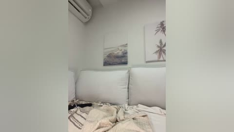 Media: A video of a small, neatly made bed with white pillows, beige and white blankets, a framed beach scene, and an air conditioning unit on a light-colored wall.