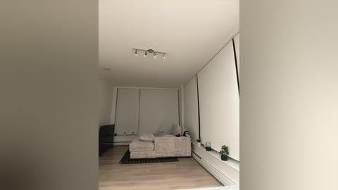 Media: Video of a minimalist, modern living room with light wood floors, a beige sofa, black armchair, and large white roller shades covering the windows, illuminated by a ceiling light.