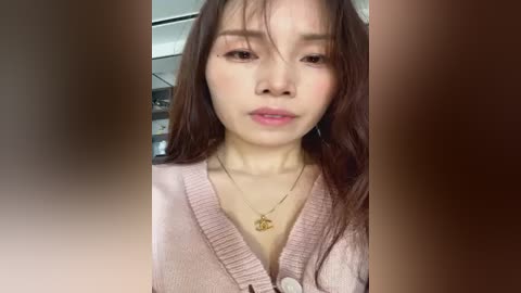 Media: Video of a young East Asian woman with long brown hair and light skin, wearing a pink cardigan and a gold necklace with a pendant, indoors with blurred background.