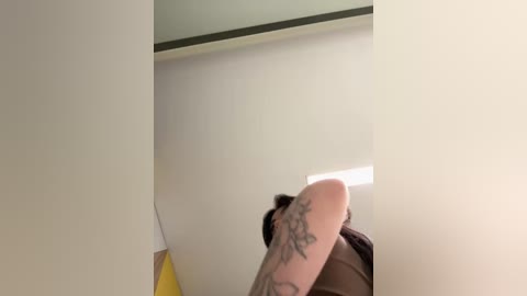 Media: Video of a tattooed arm with intricate designs, in a minimalist room with white walls, a yellow corner, and a bright window.