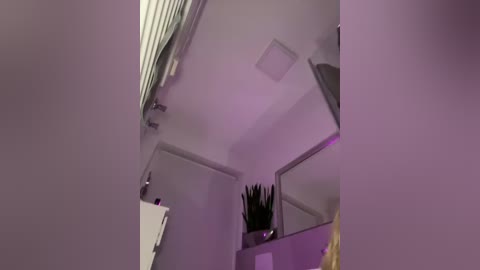 Media: Video of a narrow, dimly lit bathroom with purple lighting. A white door is partially visible on the left, and a black hairbrush holder with brushes is on the right. The walls and ceiling are painted white.