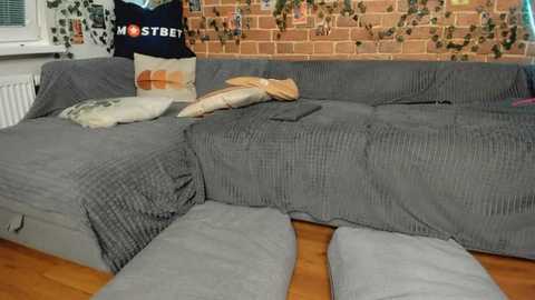 Media: Video of a cozy, lived-in room with a gray sectional sofa covered in a textured blanket, featuring a pillow with \"MSTB\" text. Brick wall adorned with ivy, wooden floor, and a white radiator on the left.