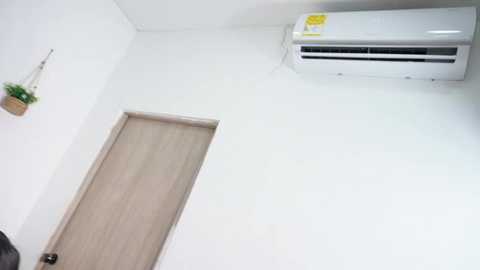 Media: A video of a small, modern room with white walls, a wooden door, a potted plant, and an air conditioning unit mounted high on the wall. The lighting is bright and clean.