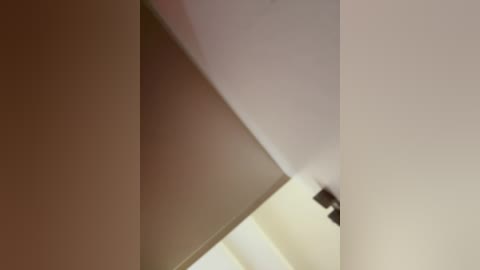 Media: A video of a modern ceiling with white and beige walls, featuring a minimalist design. The image focuses on the ceiling's smooth texture and the clean lines of the room's architecture.