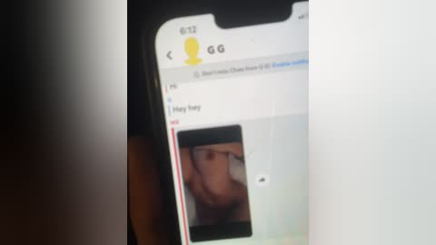 Media: A video of a smartphone screen displaying a message from \"Hey Holly\" with a blurry, partially obscured face image. The background is dark and blurry.