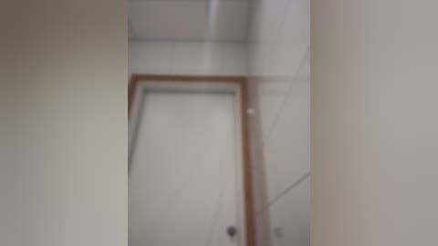 Media: A blurred video of an interior corridor with white walls, a wooden door frame, and a frosted glass door. The image is slightly out of focus, making details indistinct.