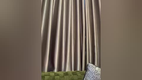 Media: A video of a beige curtain with a subtle shimmer, partially covering a green, textured wall with a patterned leopard print cushion in the foreground.