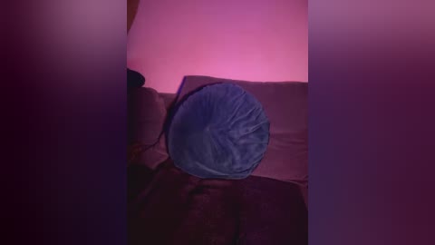 Media: A video captures a cozy, dimly lit room with a plush, round blue pillow centered on a dark brown sofa. Pinkish-purple ambient lighting enhances the intimate atmosphere.