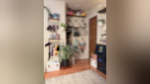 Blurred video of a cozy, cluttered room with wooden floor, white walls, bookshelves, potted plants, and a variety of colorful items scattered around.