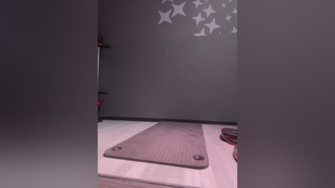 Media: Video of a dimly lit, minimalist gym with gray walls, a star decal, a light gray mat, a red medicine ball, and a wall-mounted pull-up bar.