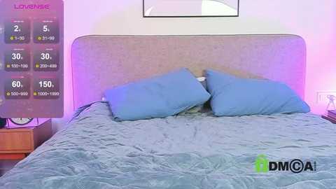 Media: A video of a modern bedroom with a beige upholstered headboard, a light blue quilted bedspread, two matching blue pillows, and a digital sleep tracker displaying sleep data on the left.