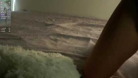 Media: Video of a dimly lit room with a fluffy white rug, beige carpet, and a shadowy figure in the corner, indicating a person sitting.