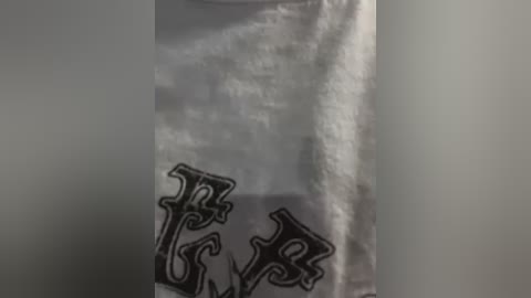 Media: A video of a white T-shirt with black Gothic-style lettering partially obscured by a white, textured wall. The shirt's fabric appears soft, and the wall is smooth, creating a contrast between the two textures.