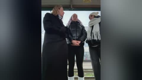 Media: Video: Three people in a train station, one with long blonde hair in a black coat, one in a black jacket, and one in a white coat with a scarf.