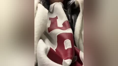 Media: Video of a person wearing a white and maroon University of Michigan hoodie, with the word \"Michigan\" prominently displayed in red letters. The background is blurred, focusing attention on the hoodie.