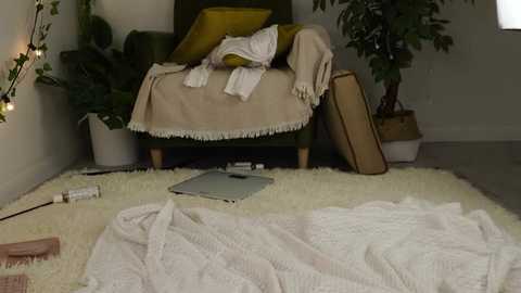 Media: Video of a cozy living room with a green armchair draped with a beige blanket, a white rug, and various household items scattered about.