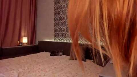 Media: Video of a dimly lit bedroom featuring a large, fluffy orange cat with long fur, lounging on a soft, patterned carpet. A black cat is sleeping near a small lamp on the floor.