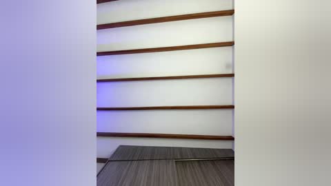 Media: Video of a minimalist interior featuring a white wall with three horizontal wooden shelves and a dark grey textured floor. The lighting casts a subtle purple glow on the shelves, creating a modern, clean aesthetic.