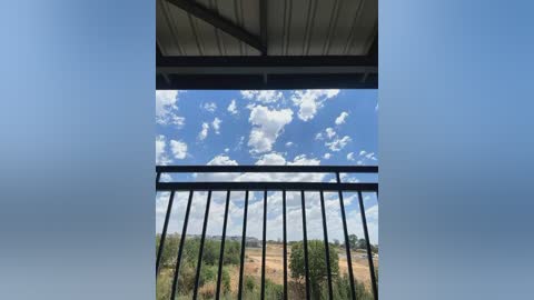 Media: Video of a blue sky with scattered white clouds seen through a black metal railing. Below, a dry, golden-brown field stretches towards distant green trees. The image captures a serene rural landscape from a balcony or porch.