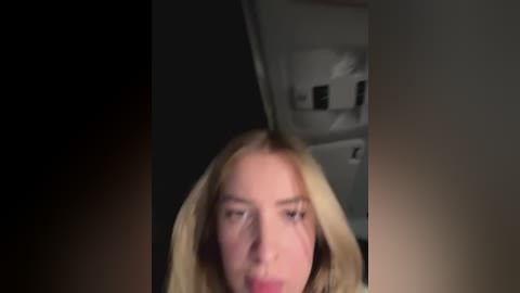 Media: Video of a blonde woman with fair skin and a neutral expression, slightly blurred, taken from a low angle, indoors with dim lighting, partially obscured by shadows.