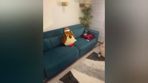 A video of a teal sofa with a stuffed dog and a child's red jacket, in a modern room with beige walls and a patterned rug.