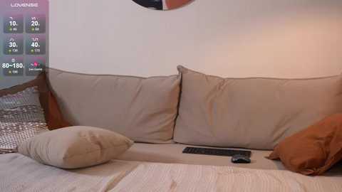 Media: Video of a beige sofa with two large cushions and a brown pillow, featuring a TV remote on the cushion. The background shows a plain white wall and a digital clock displaying 8:19.