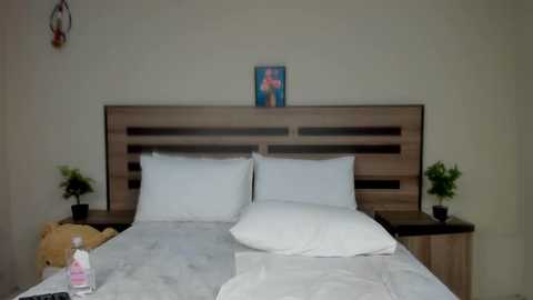 Media: Video of a minimalist bedroom with a wooden headboard, two white pillows, a white bedspread, and two small green potted plants on wooden nightstands. The background wall is plain beige, and a colorful framed picture hangs above the headboard.