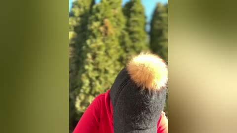 Media: Video of a person wearing a red shirt, black hat with a tuft of yellow fur, and dark hair. Background shows blurred green trees against a clear blue sky.