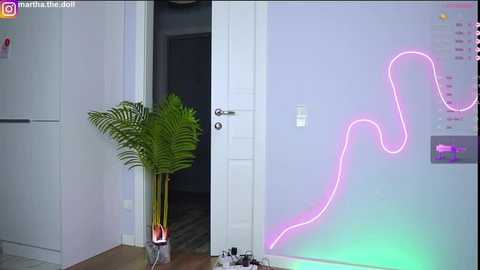 Media: Video of a modern, minimalist room with a white door, a fern in a glass vase, and a pink neon heart wall art.