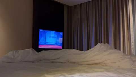 Media: Video of a dimly lit hotel room featuring a bed covered in white sheets, a flat-screen TV displaying a blue screen, and beige curtains partially drawn.