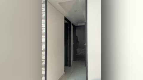 Media: Video of a modern, narrow hallway with beige walls and a glass door on the left, leading to a dark, partially visible room on the right. The floor is tiled in a light color.