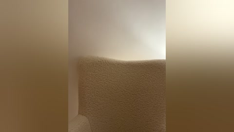 Media: A video of a fluffy, beige towel folded neatly on a smooth, beige wall, with soft, diffused lighting creating a serene and minimalist ambiance.